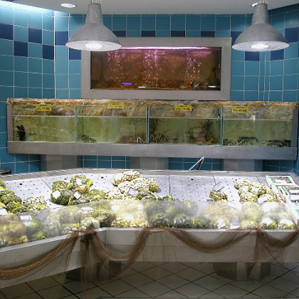foto_003